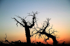 �ƻ��е���