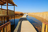 ���Ӻ�ʪ��