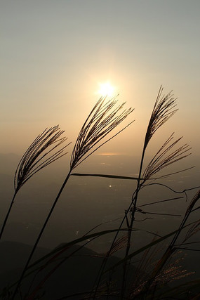 ��ɽ���ճ�