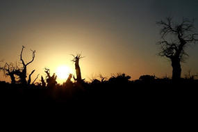 ����������