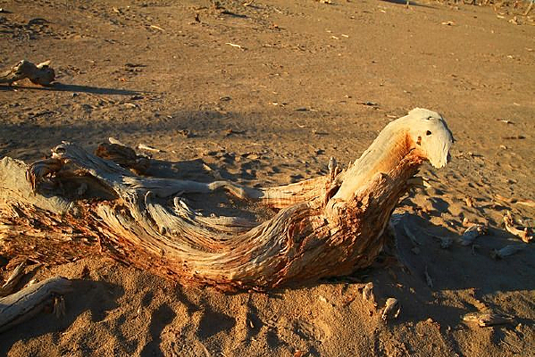 �½�����