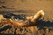 �½�����