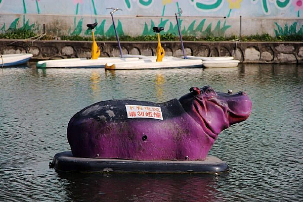 ��ɫ����