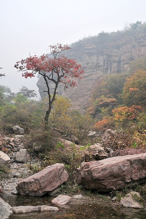 �������һ����