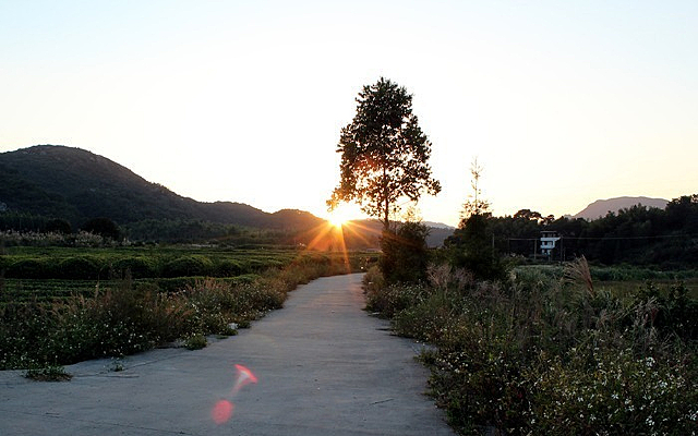 �����ǹ�