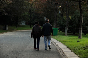 ɢ�����������