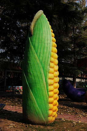 ���ֳ���ĵ���