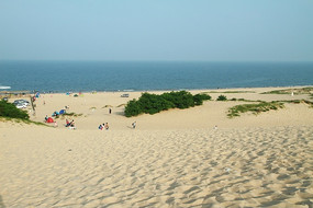 �����ӵ�