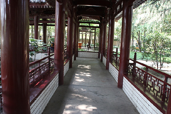 �¹�����