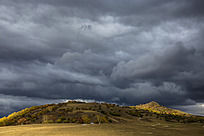 �����Ʋ�