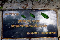 湖北荆门