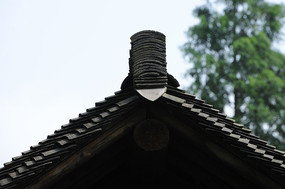 ��������ݶ�