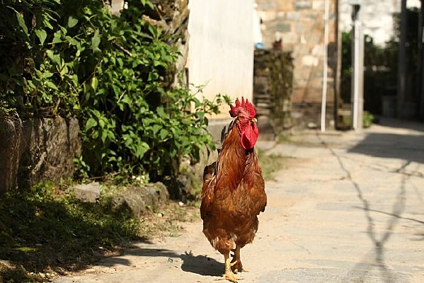 ũ�������