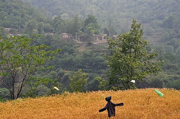 ������ĵ�����