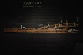 �����ݻ�