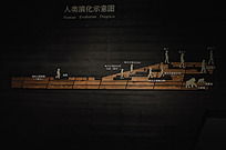 �����ݻ�