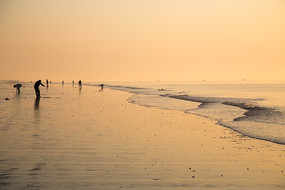 �����Ϻ�����������