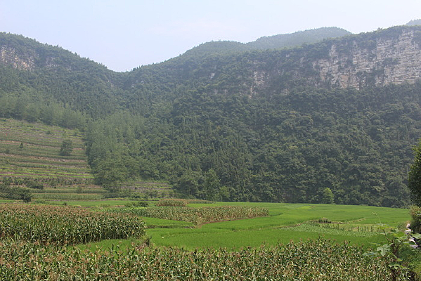 ������԰