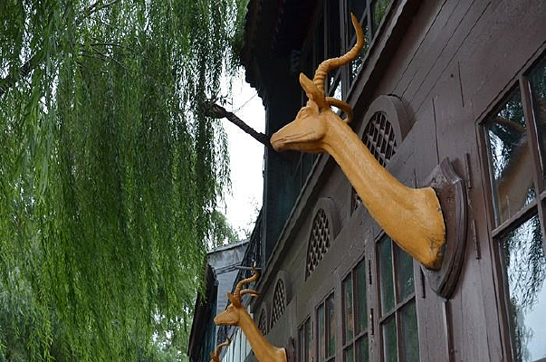 ɽ��ͷ����