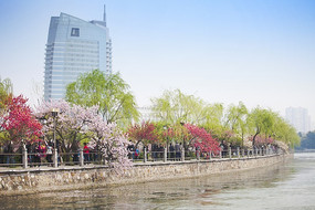 ��������԰