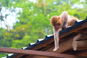 С������