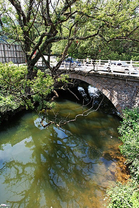 ����С��