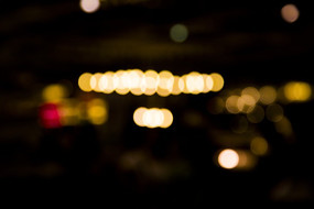 �����Ʊ���