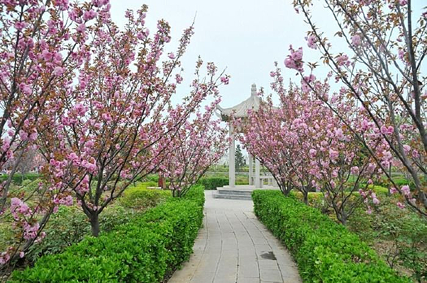 С������