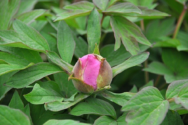 �������ŵ�ĵ��