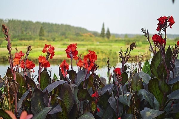 ���ļ���