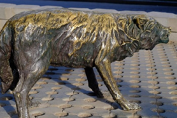 �ǵ�����