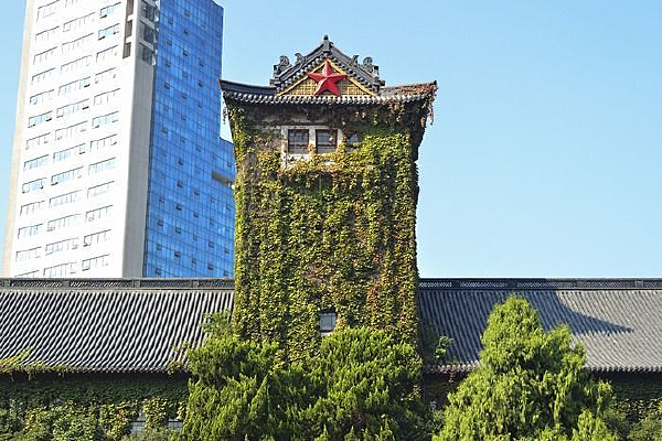 �Ͼ���ѧ�Ž���