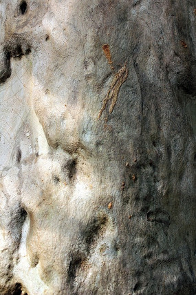 ������ԭ��