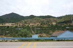 ɽ������