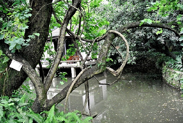 ���ٲ���