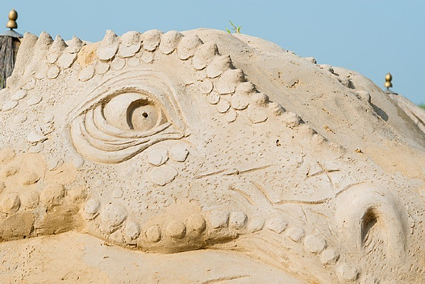 �����۾�