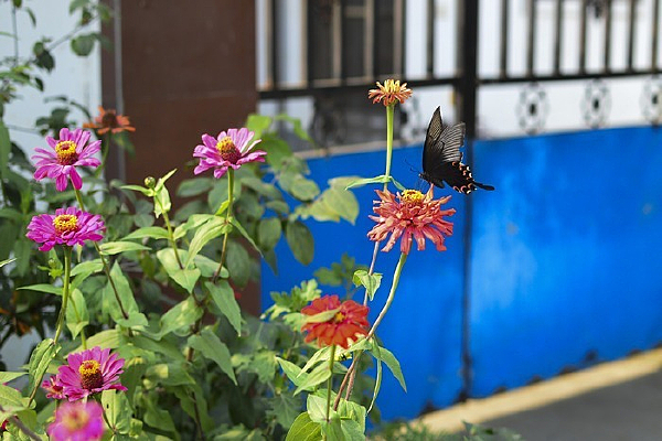 �����ڻ����ϵĺ���