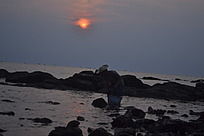 Ϧ���µĺ���