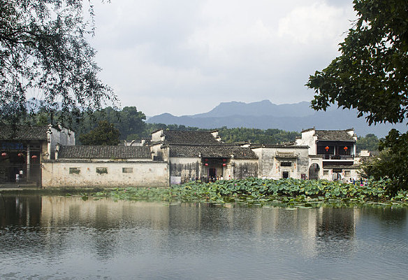 ���ݺ���