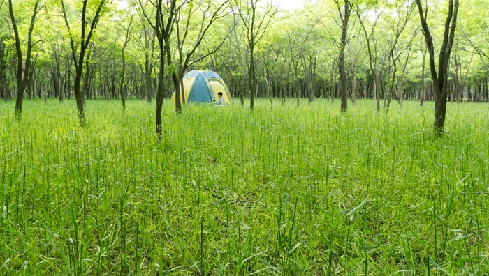 ������Ұ