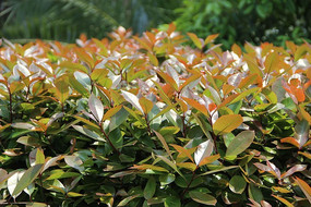 ���д���