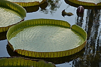 ˮ�е�����