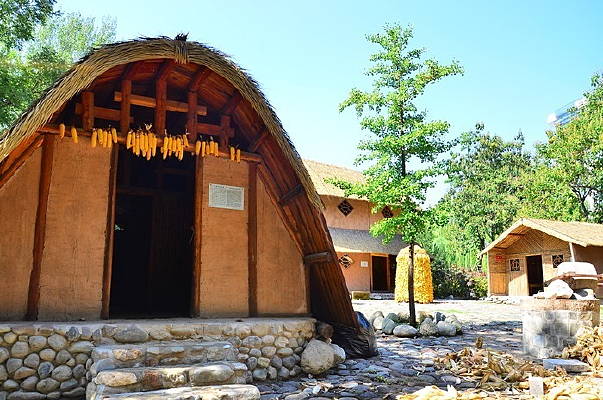 ������լ