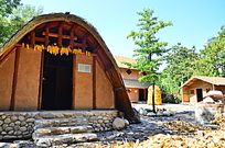 ������լ