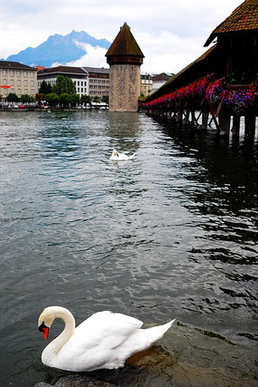 ��ʿ¬������