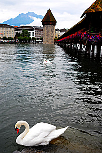 ¬������