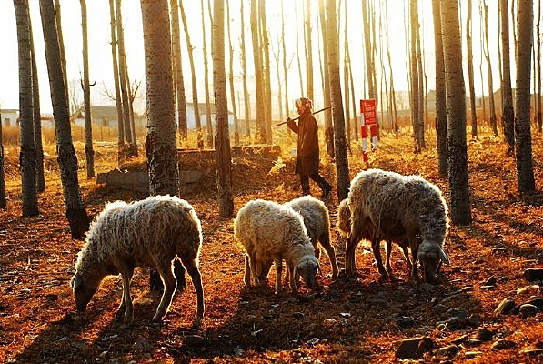 �������