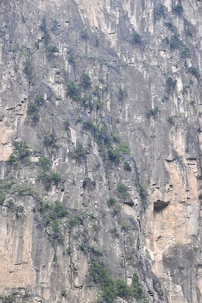 ���ں���