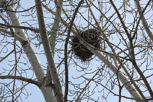 ��ϲȵ�Ѵ���