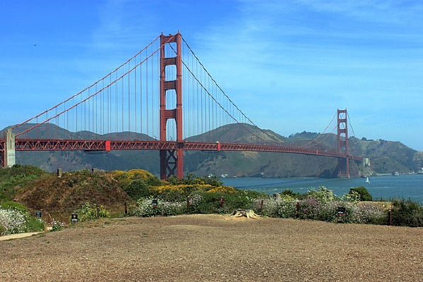 ��ɫ���Ŵ���